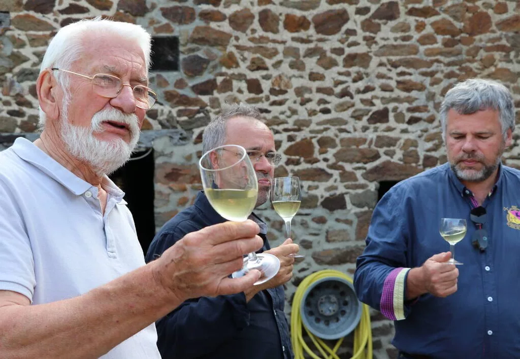 dégustation de vin